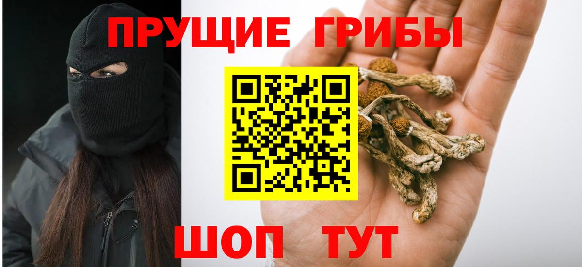 Галлюциногенные грибы Magic Shrooms Реутов