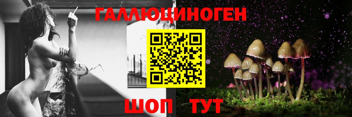 где купить   Псилоцибиновые грибы Psilocybine cubensis  Вход с VPN  Реутов 